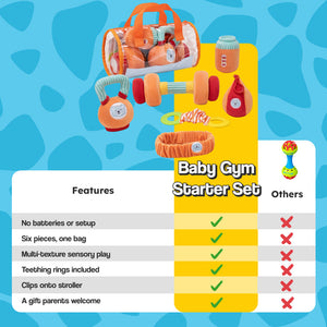 Baby Gym Starter Set