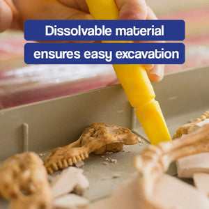 Educational Dinosaur Excavation Toy